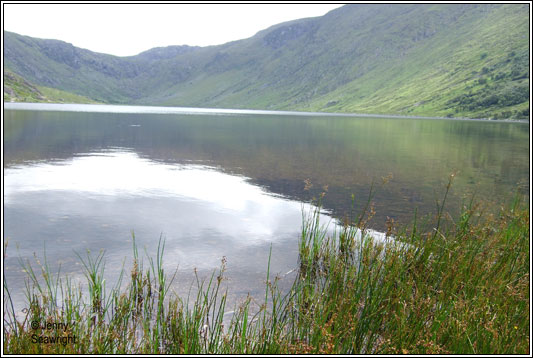 Glenbeg, County Cork