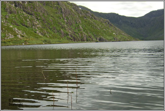Glenbeg, County Cork