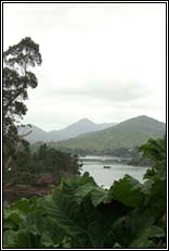 Glengarriff, Co.Cork