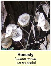 honesty